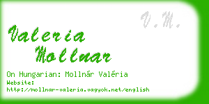 valeria mollnar business card